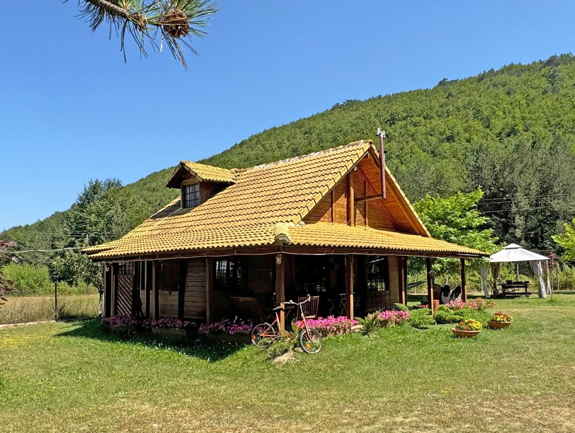 Woodhouse Xirolivadon